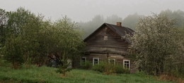Nebliger Morgen / ***