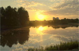 Morgen / ***