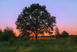 Mai-Abend / ***
