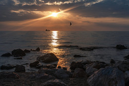 Sonnenuntergang / ***