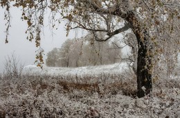 Schlechtes Wetter / ***