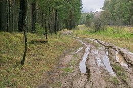 Weg / ***