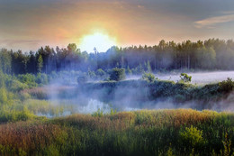 Der Nebel über dem Wasser / uman nad vodoy
