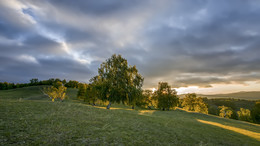 düsterer Morgen / ***