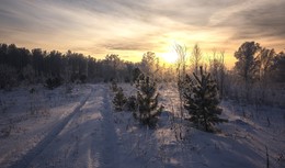 Winter. / ***