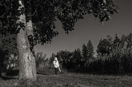 Der Wanderer / ***