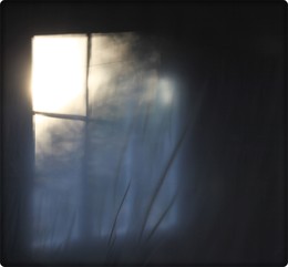  / That fleeting glimpse...