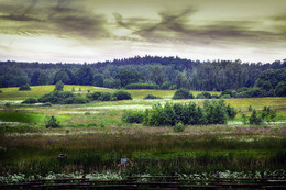 Weideland / ***