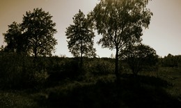 Sommer / ***