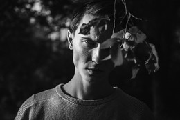  / ***