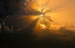 Magic of Morgenlicht / ***