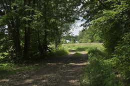 Sommer / ***