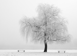Die Januar- / -------