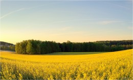 auf den Wellen / ***