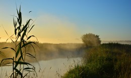 Misty Fluss / ***