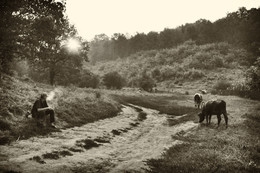 Schäfer / ***
