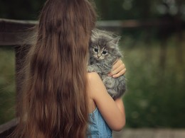 Freund / ***