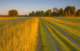 Abend / ***