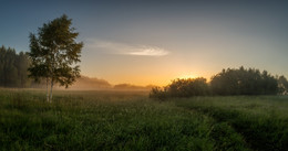 in der Sonne / ...