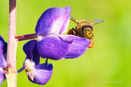Bei der Arbeit / ***