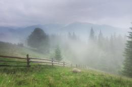 Carpathian Nebeln / ***