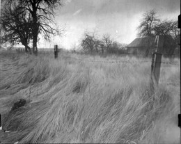 Hutař / ***