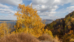 Herbst / ***