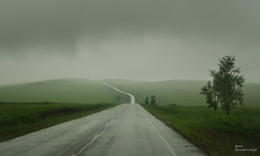 Sommer / ***