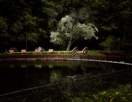 Am Teich. / ***