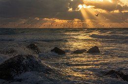 Sonnenuntergang / ***