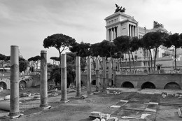  / Roma