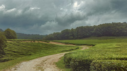 Vor dem Sturm / ***