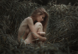 no reality... / ...