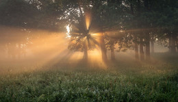 Morgen Rays / ***