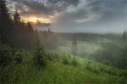 düsterer Morgen / ***