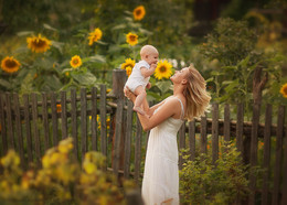 Sonnenblumen / ***