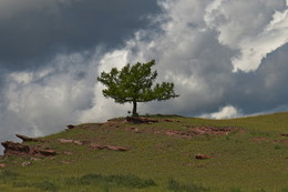 On Seven Winds / ***