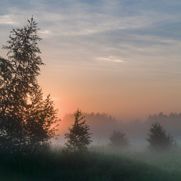 Morgen / ***