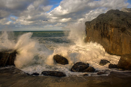 surfen / ***