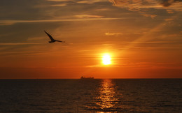 Ostsee / ***
