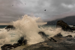 surfen / ***