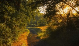 Abreisetag / ***
