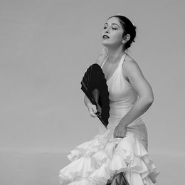 Flamenco / ***