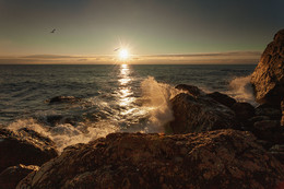 Abendlandschaft / ***