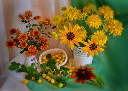 sonnig / ***