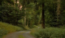 Verlassen Sommer / ***