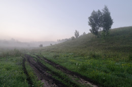 Nebliger Morgen / ***
