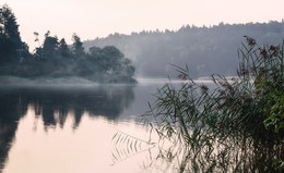 Sommer-Nebel / ***