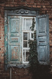 Fenster in die Vergangenheit / ***