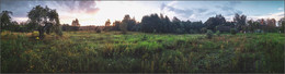 Old Garden / ***